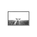 Picture of Field Sheep  _GroupedProduct_Rectangle_Landscape_Photography _GroupedProduct_Rectangle_Landscape_Canvas_Framed_