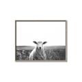 Picture of Field Sheep  _GroupedProduct_Rectangle_Landscape_Photography _GroupedProduct_Rectangle_Landscape_Canvas_Framed_