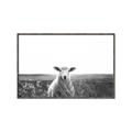 Picture of Field Sheep  _GroupedProduct_Rectangle_Landscape_Photography _GroupedProduct_Rectangle_Landscape_Canvas_Framed_