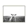 Picture of Field Sheep  _GroupedProduct_Rectangle_Landscape_Photography _GroupedProduct_Rectangle_Landscape_Canvas_Framed_