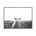 Picture of Field Sheep  _GroupedProduct_Rectangle_Landscape_Photography _GroupedProduct_Rectangle_Landscape_Canvas_Framed_