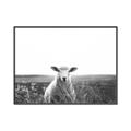 Picture of Field Sheep  _GroupedProduct_Rectangle_Landscape_Photography _GroupedProduct_Rectangle_Landscape_Canvas_Framed_