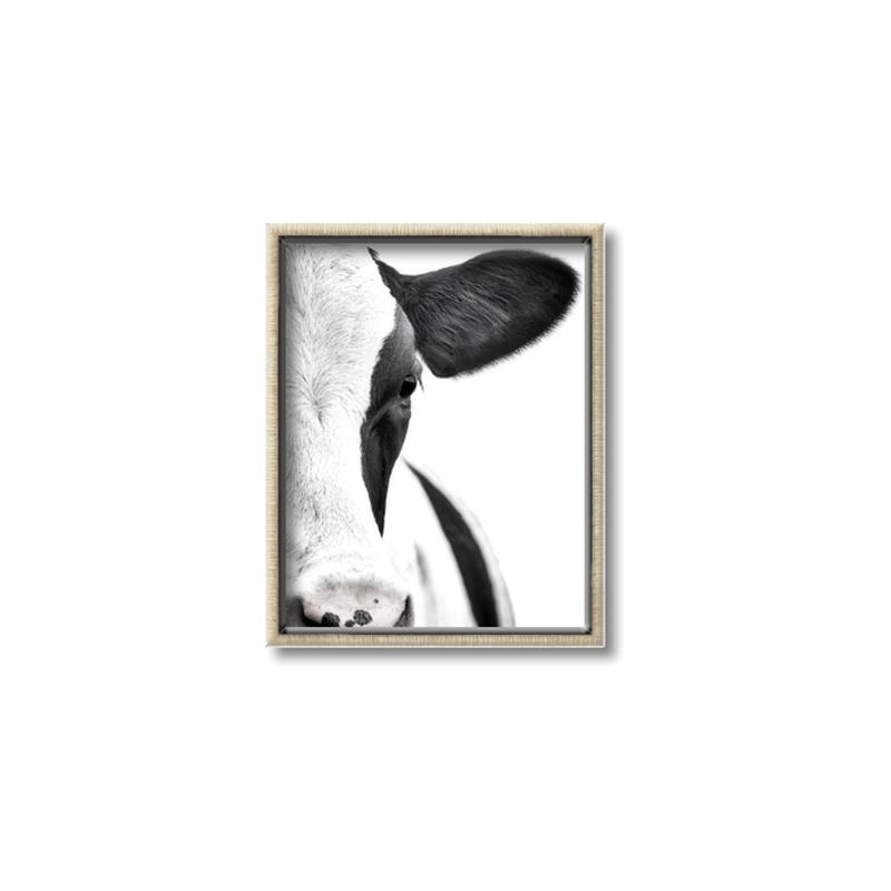 Picture of Side Cow _GroupedProduct_Rectangle_Portrait_Photography _GroupedProduct_Rectangle_Portrait_Canvas_Framed_