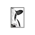 Picture of Side Cow _GroupedProduct_Rectangle_Portrait_Photography _GroupedProduct_Rectangle_Portrait_Canvas_Framed_
