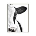 Picture of Side Cow _GroupedProduct_Rectangle_Portrait_Photography _GroupedProduct_Rectangle_Portrait_Canvas_Framed_