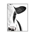 Picture of Side Cow _GroupedProduct_Rectangle_Portrait_Photography _GroupedProduct_Rectangle_Portrait_Canvas_Framed_