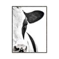 Picture of Side Cow _GroupedProduct_Rectangle_Portrait_Photography _GroupedProduct_Rectangle_Portrait_Canvas_Framed_