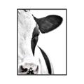 Picture of Side Cow _GroupedProduct_Rectangle_Portrait_Photography _GroupedProduct_Rectangle_Portrait_Canvas_Framed_