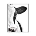 Picture of Side Cow _GroupedProduct_Rectangle_Portrait_Photography _GroupedProduct_Rectangle_Portrait_Canvas_Framed_