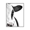 Picture of Side Cow _GroupedProduct_Rectangle_Portrait_Photography _GroupedProduct_Rectangle_Portrait_Canvas_Framed_