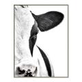 Picture of Side Cow _GroupedProduct_Rectangle_Portrait_Photography _GroupedProduct_Rectangle_Portrait_Canvas_Framed_