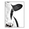 Picture of Side Cow _GroupedProduct_Rectangle_Portrait_Photography _GroupedProduct_Rectangle_Portrait_Canvas_Framed_
