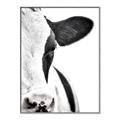 Picture of Side Cow _GroupedProduct_Rectangle_Portrait_Photography _GroupedProduct_Rectangle_Portrait_Canvas_Framed_