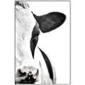 Picture of Side Cow _GroupedProduct_Rectangle_Portrait_Photography _GroupedProduct_Rectangle_Portrait_Canvas_Framed_
