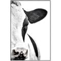 Picture of Side Cow _GroupedProduct_Rectangle_Portrait_Photography _GroupedProduct_Rectangle_Portrait_Canvas_Framed_