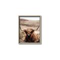 Picture of Furry Brown Cow _GroupedProduct_Rectangle_Portrait_Photography _GroupedProduct_Rectangle_Portrait_Canvas_Framed_