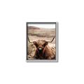 Picture of Furry Brown Cow _GroupedProduct_Rectangle_Portrait_Photography _GroupedProduct_Rectangle_Portrait_Canvas_Framed_