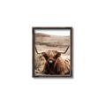 Picture of Furry Brown Cow _GroupedProduct_Rectangle_Portrait_Photography _GroupedProduct_Rectangle_Portrait_Canvas_Framed_