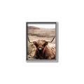 Picture of Furry Brown Cow _GroupedProduct_Rectangle_Portrait_Photography _GroupedProduct_Rectangle_Portrait_Canvas_Framed_