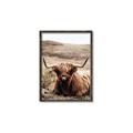 Picture of Furry Brown Cow _GroupedProduct_Rectangle_Portrait_Photography _GroupedProduct_Rectangle_Portrait_Canvas_Framed_