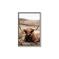Picture of Furry Brown Cow _GroupedProduct_Rectangle_Portrait_Photography _GroupedProduct_Rectangle_Portrait_Canvas_Framed_