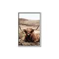 Picture of Furry Brown Cow _GroupedProduct_Rectangle_Portrait_Photography _GroupedProduct_Rectangle_Portrait_Canvas_Framed_