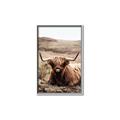 Picture of Furry Brown Cow _GroupedProduct_Rectangle_Portrait_Photography _GroupedProduct_Rectangle_Portrait_Canvas_Framed_