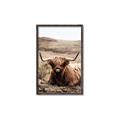 Picture of Furry Brown Cow _GroupedProduct_Rectangle_Portrait_Photography _GroupedProduct_Rectangle_Portrait_Canvas_Framed_