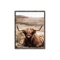 Picture of Furry Brown Cow _GroupedProduct_Rectangle_Portrait_Photography _GroupedProduct_Rectangle_Portrait_Canvas_Framed_