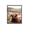 Picture of Furry Brown Cow _GroupedProduct_Rectangle_Portrait_Photography _GroupedProduct_Rectangle_Portrait_Canvas_Framed_