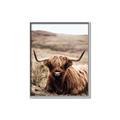 Picture of Furry Brown Cow _GroupedProduct_Rectangle_Portrait_Photography _GroupedProduct_Rectangle_Portrait_Canvas_Framed_
