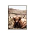 Picture of Furry Brown Cow _GroupedProduct_Rectangle_Portrait_Photography _GroupedProduct_Rectangle_Portrait_Canvas_Framed_