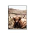 Picture of Furry Brown Cow _GroupedProduct_Rectangle_Portrait_Photography _GroupedProduct_Rectangle_Portrait_Canvas_Framed_