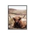 Picture of Furry Brown Cow _GroupedProduct_Rectangle_Portrait_Photography _GroupedProduct_Rectangle_Portrait_Canvas_Framed_