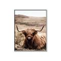 Picture of Furry Brown Cow _GroupedProduct_Rectangle_Portrait_Photography _GroupedProduct_Rectangle_Portrait_Canvas_Framed_