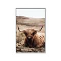 Picture of Furry Brown Cow _GroupedProduct_Rectangle_Portrait_Photography _GroupedProduct_Rectangle_Portrait_Canvas_Framed_