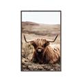 Picture of Furry Brown Cow _GroupedProduct_Rectangle_Portrait_Photography _GroupedProduct_Rectangle_Portrait_Canvas_Framed_