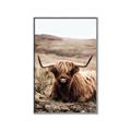 Picture of Furry Brown Cow _GroupedProduct_Rectangle_Portrait_Photography _GroupedProduct_Rectangle_Portrait_Canvas_Framed_