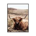 Picture of Furry Brown Cow _GroupedProduct_Rectangle_Portrait_Photography _GroupedProduct_Rectangle_Portrait_Canvas_Framed_