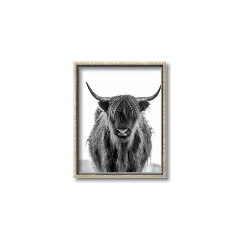 Picture of B&W Highland _GroupedProduct_Rectangle_Portrait_Photography _GroupedProduct_Rectangle_Portrait_Canvas_Framed_