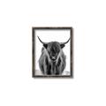 Picture of B&W Highland _GroupedProduct_Rectangle_Portrait_Photography _GroupedProduct_Rectangle_Portrait_Canvas_Framed_