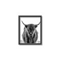 Picture of B&W Highland _GroupedProduct_Rectangle_Portrait_Photography _GroupedProduct_Rectangle_Portrait_Canvas_Framed_