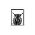 Picture of B&W Highland _GroupedProduct_Rectangle_Portrait_Photography _GroupedProduct_Rectangle_Portrait_Canvas_Framed_