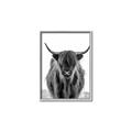 Picture of B&W Highland _GroupedProduct_Rectangle_Portrait_Photography _GroupedProduct_Rectangle_Portrait_Canvas_Framed_