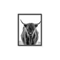 Picture of B&W Highland _GroupedProduct_Rectangle_Portrait_Photography _GroupedProduct_Rectangle_Portrait_Canvas_Framed_