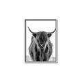 Picture of B&W Highland _GroupedProduct_Rectangle_Portrait_Photography _GroupedProduct_Rectangle_Portrait_Canvas_Framed_