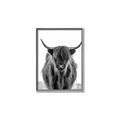 Picture of B&W Highland _GroupedProduct_Rectangle_Portrait_Photography _GroupedProduct_Rectangle_Portrait_Canvas_Framed_