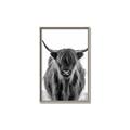 Picture of B&W Highland _GroupedProduct_Rectangle_Portrait_Photography _GroupedProduct_Rectangle_Portrait_Canvas_Framed_