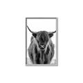 Picture of B&W Highland _GroupedProduct_Rectangle_Portrait_Photography _GroupedProduct_Rectangle_Portrait_Canvas_Framed_