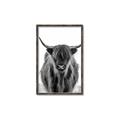 Picture of B&W Highland _GroupedProduct_Rectangle_Portrait_Photography _GroupedProduct_Rectangle_Portrait_Canvas_Framed_